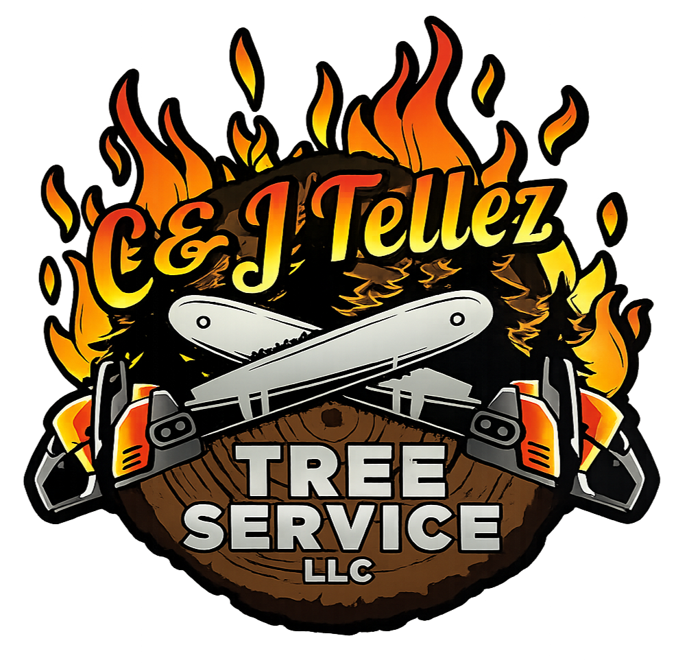 C&J Tellez Tree Service